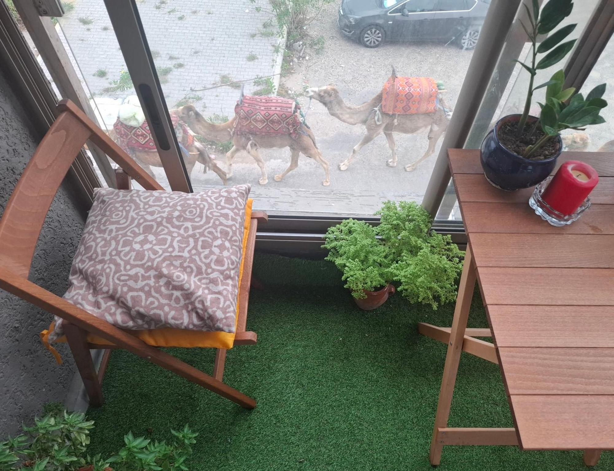 Azur Appartement Suvayr Dış mekan fotoğraf